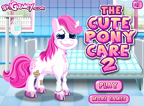 Ai Grija de Poneiul Dragut