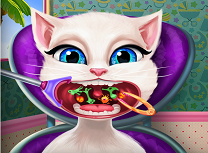 Angela Probleme la Gat