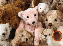 Animale de Plus Stele Ascunse