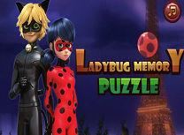 Carti de Memorie cu Buburuza