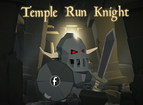 Cavalerul din Templu