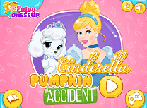 Cenusareasa Accident