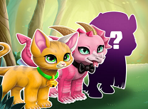 Creeaza Animalul Magic