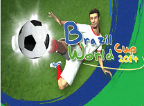 Cupa Mondiala Brazilia