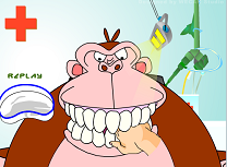 Dentistul Pentru Animale