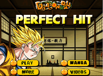 Dragon Ball Lovitura Perfecta