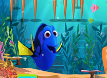 Eliberarea lui Dory