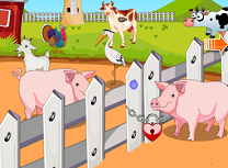 Evadarea Porcilor de la Ferma