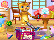 Ginger Curatenie in Camera