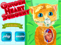 Ginger Operatie la Inima