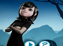 Hotel Transilvania 2 Carti de Memorie