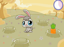 Iepurasul si Cartitele