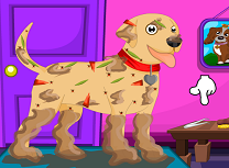 Ingrijeste Labradorul