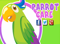 Ingrijeste Papagalul