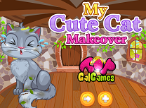 Ingrijeste Pisica Draguta