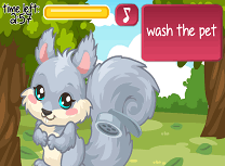 Ingrijeste Veverita 2