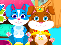 Ingrijirea Iepurasilor