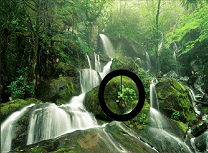 Lunetistul din Padure