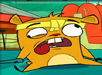 Marmotele Kung Fu de Memorie