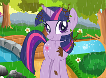 Micul Meu Ponei Dupa Furtuna