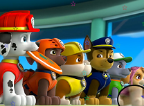 Paw Patrol Stele Ascunse