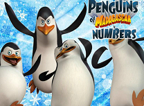 Pinguingii din Madagascar Numere Ascunse