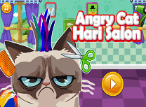 Pisica Furioasa la Salon