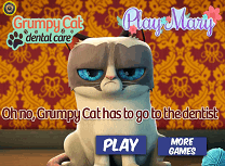 Pisica Morocanoasa la Dentist