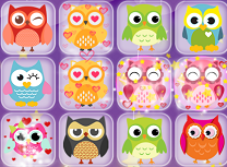 Potriveste Bufnitele