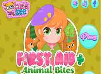 Primul Ajutor in Caz de Muscaturi de Animale