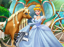 Repara Trasura Cenusaresei