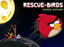 Salveaza Pasarile din Spatiu