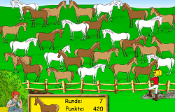 Jocuri cu Bibi si Tina