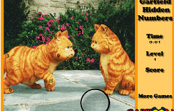 Garfield Numere Ascunse