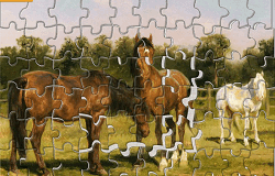 Puzzle cu Cai