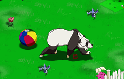 Panda Rampage