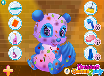 Ursul Panda Este Murdar