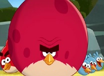 Angry Birds Terence