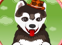 Spalati Catelusul Dragut