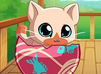 Animale de Buzunar Pisicuta