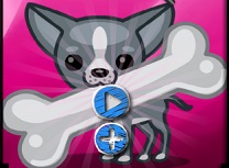 Catelul Amuzant Oase Ascunse