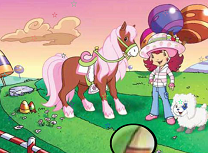 Capsunica Prajiturica Stele Ascunse