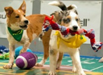 Diferente cu Catelusi