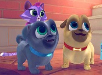 Catelusii si Pisicile