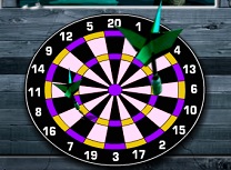 301 Darts Flash