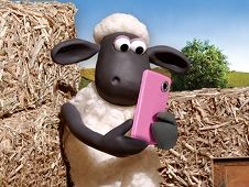 Oaia Shaun App Hazzard