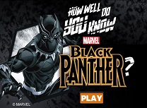 Jocuri cu Pantera Neagra