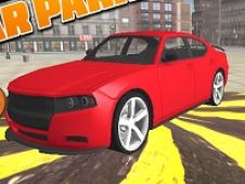 Parcati Masini in Amsterdam