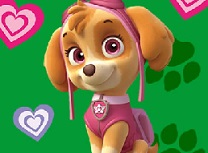 Paw Patrol Skye