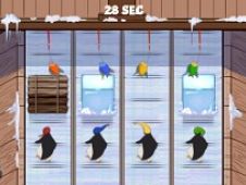 Pinguini Alearga dupa Pesti